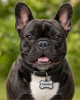 Samu